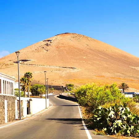 Tiny House Madora - Sea View - Amazing Garden - Quiet Location - Bodegas & Hiking Trails Nearby Apartment *