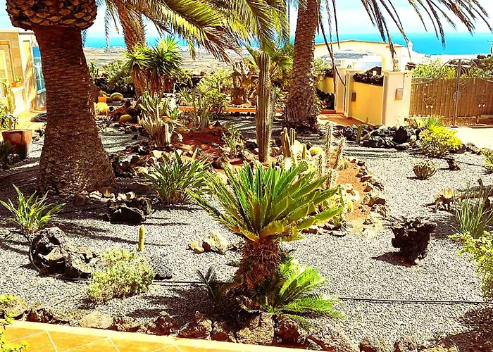 Tiny House Madora - Sea View - Amazing Garden - Quiet Location - Bodegas & Hiking Trails Nearby * La Asomada