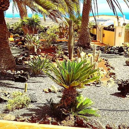 Tiny House Madora - Sea View - Amazing Garden - Quiet Location - Bodegas & Hiking Trails Nearby * La Asomada (Lanzarote)