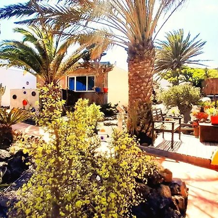 Tiny House Madora - Sea View - Amazing Garden - Quiet Location - Bodegas & Hiking Trails Nearby La Asomada