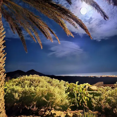 Daire Tiny House Madora - Sea View - Amazing Garden - Quiet Location - Bodegas & Hiking Trails Nearby *