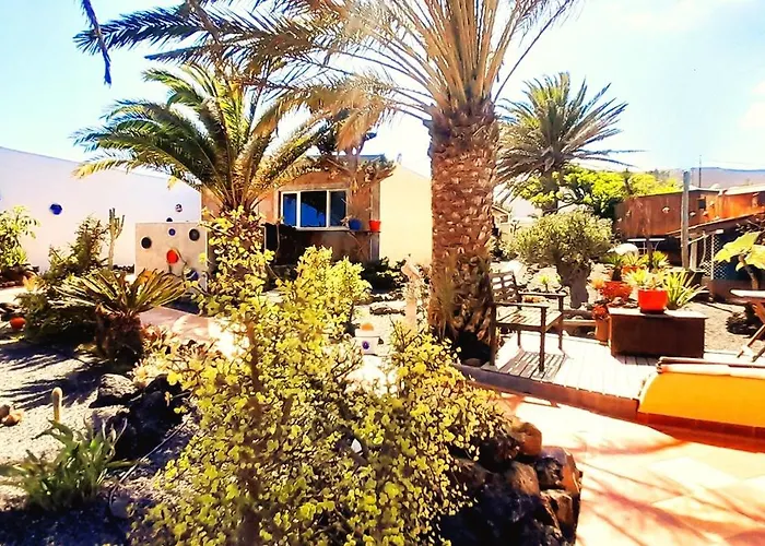Tiny House Madora - Sea View - Amazing Garden - Quiet Location - Bodegas & Hiking Trails Nearby La Asomada (Lanzarote)