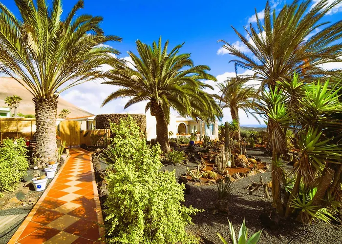 Tiny House Madora - Sea View - Amazing Garden - Quiet Location - Bodegas & Hiking Trails Nearby Daire